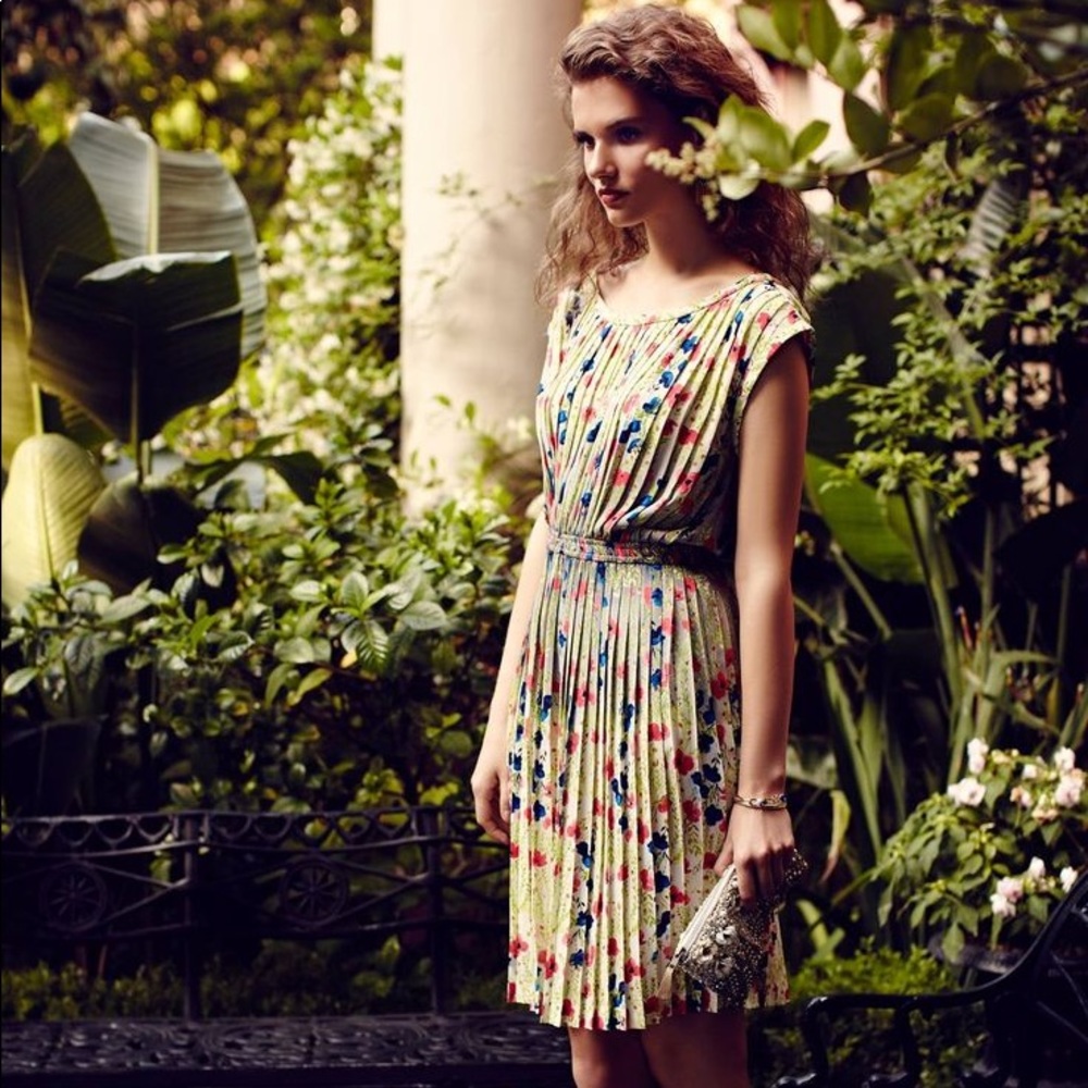 Anthropologie Baraschi pleated Meadowlight dress