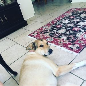 Meet your Posher, Max