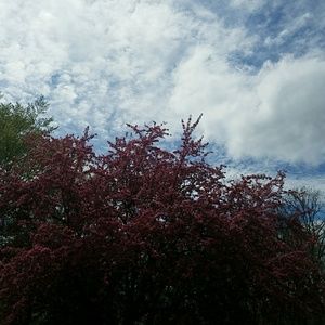 Meet your Posher, Miah