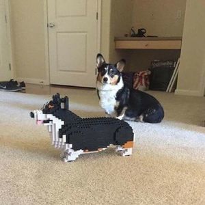 Meet your Posher, Marie