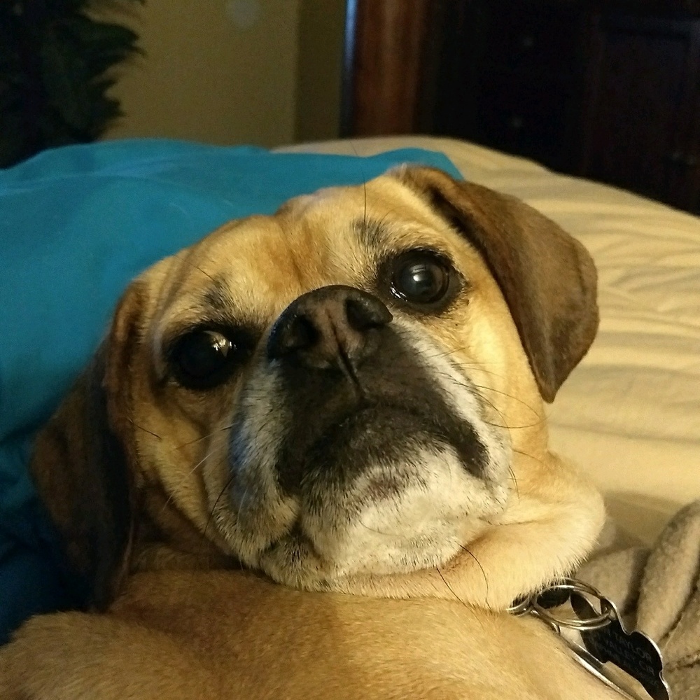 Meet your Posher, John