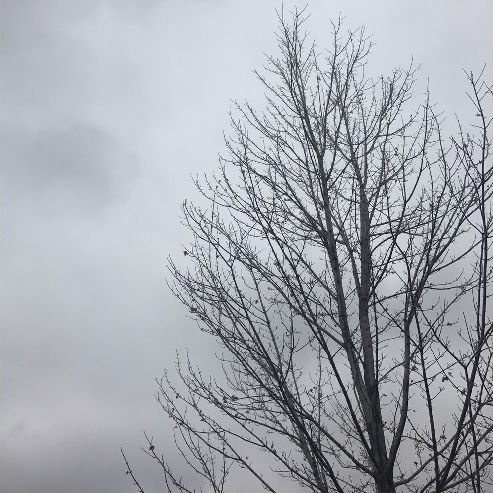 Meet your Posher, Jake