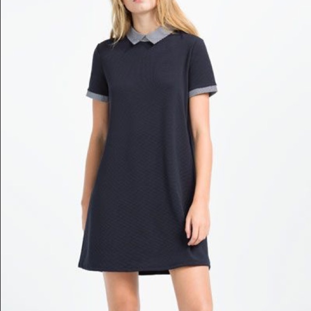 ※ ZARA Navy Casual Collar Mini Dress Holiday  ※