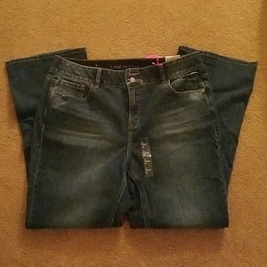 LANE BRYANT JEANS