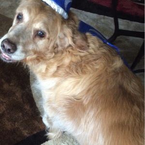 Meet your Posher, Cheryl