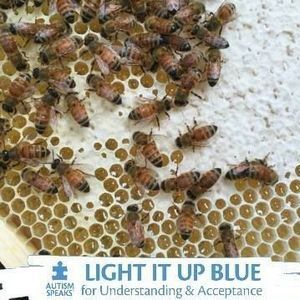 Meet your Posher, Jo-ann