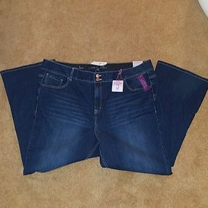 LANE BRYANT JEANS