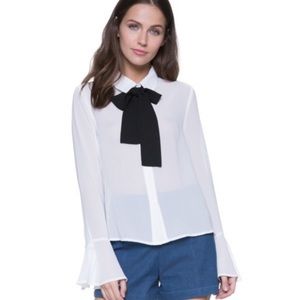 White chiffon button down blouse