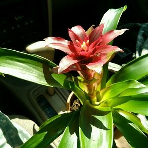 Meet your Posher, Ruby