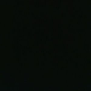 Meet your Posher, Dena