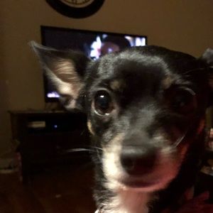 Meet your Posher, Kim