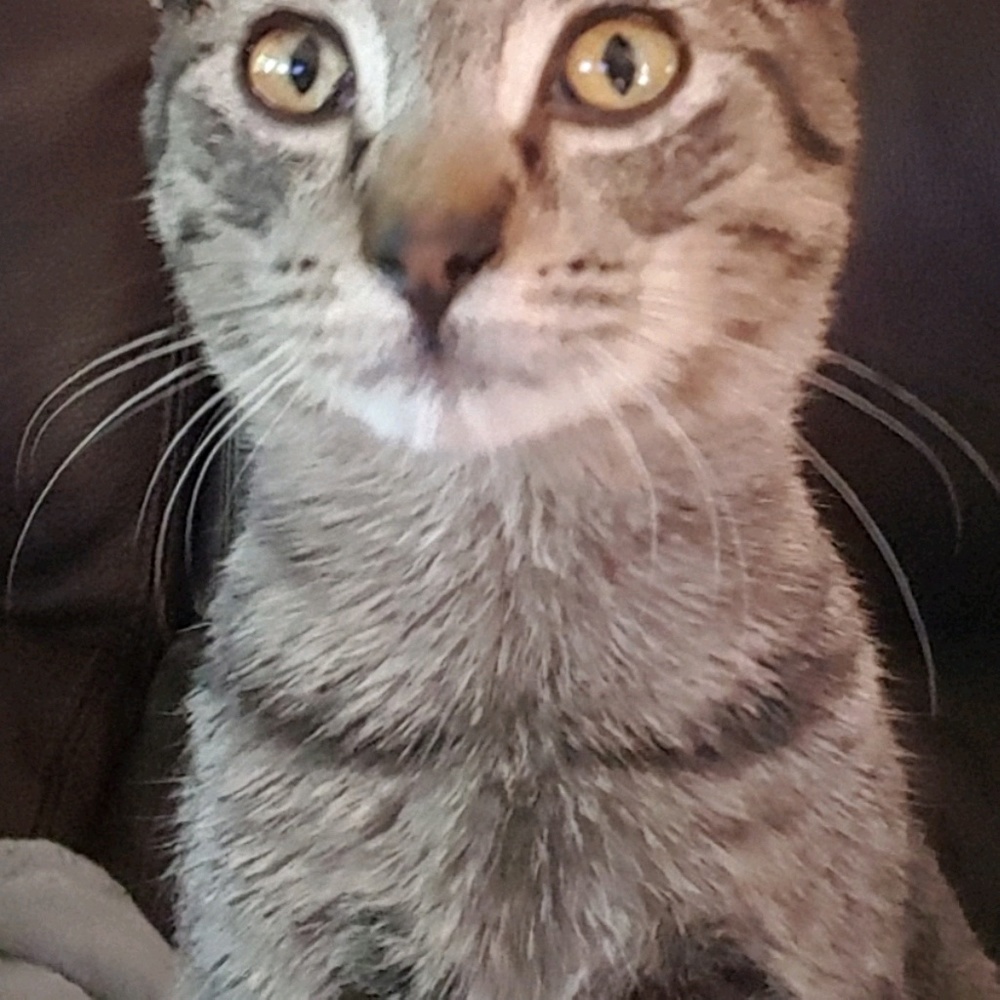 Meet your Posher, Cathie