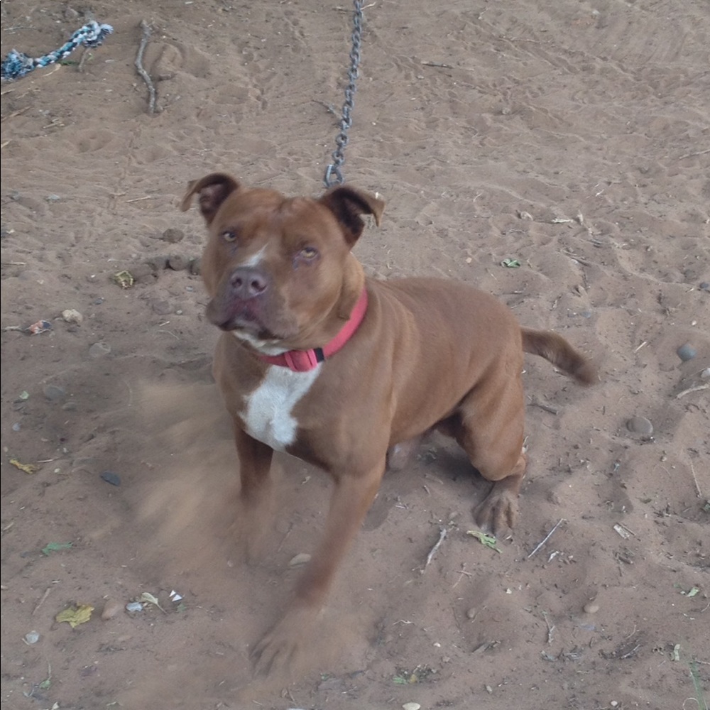 Meet your Posher, Paul