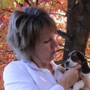 Meet your Posher, Melissa-brian