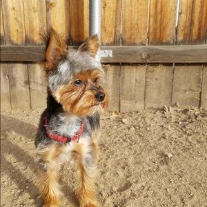 Meet your Posher, Maria