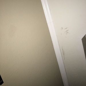 Meet your Posher, Daisy