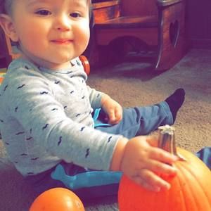 Meet your Posher, Robin