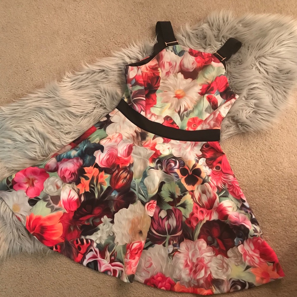 Ted Baker London Sandra Floral Swirl Slater Dress