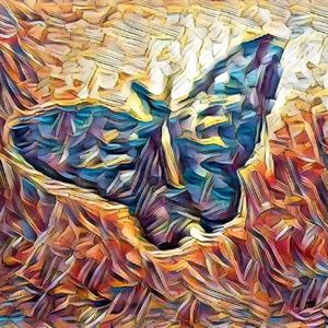 Meet your Posher, Daphne