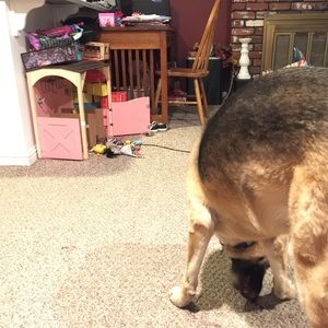 Meet your Posher, Patty