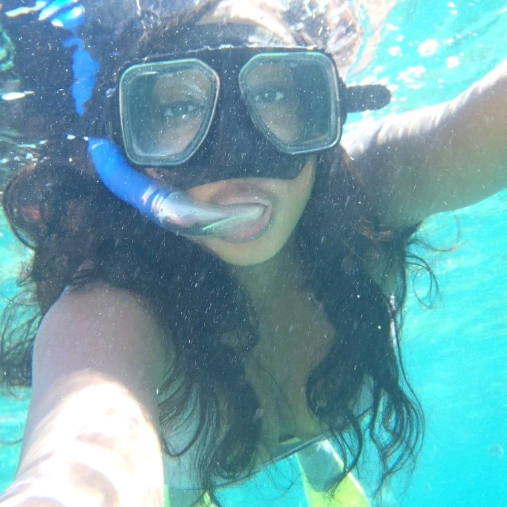 Today is the perfect day to swim with the 🦈 🦈 🦈 🦈