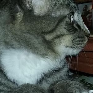 Meet your Posher, Bonney