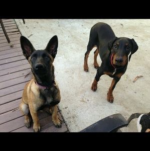 Meet your Posher, Marie