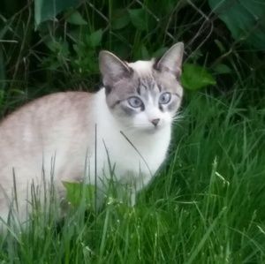 Meet your Posher, Ruth