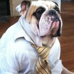 Meet your Posher, Gabriel