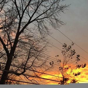 Meet your Posher, Rola