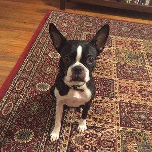 Meet your Posher, Jenni