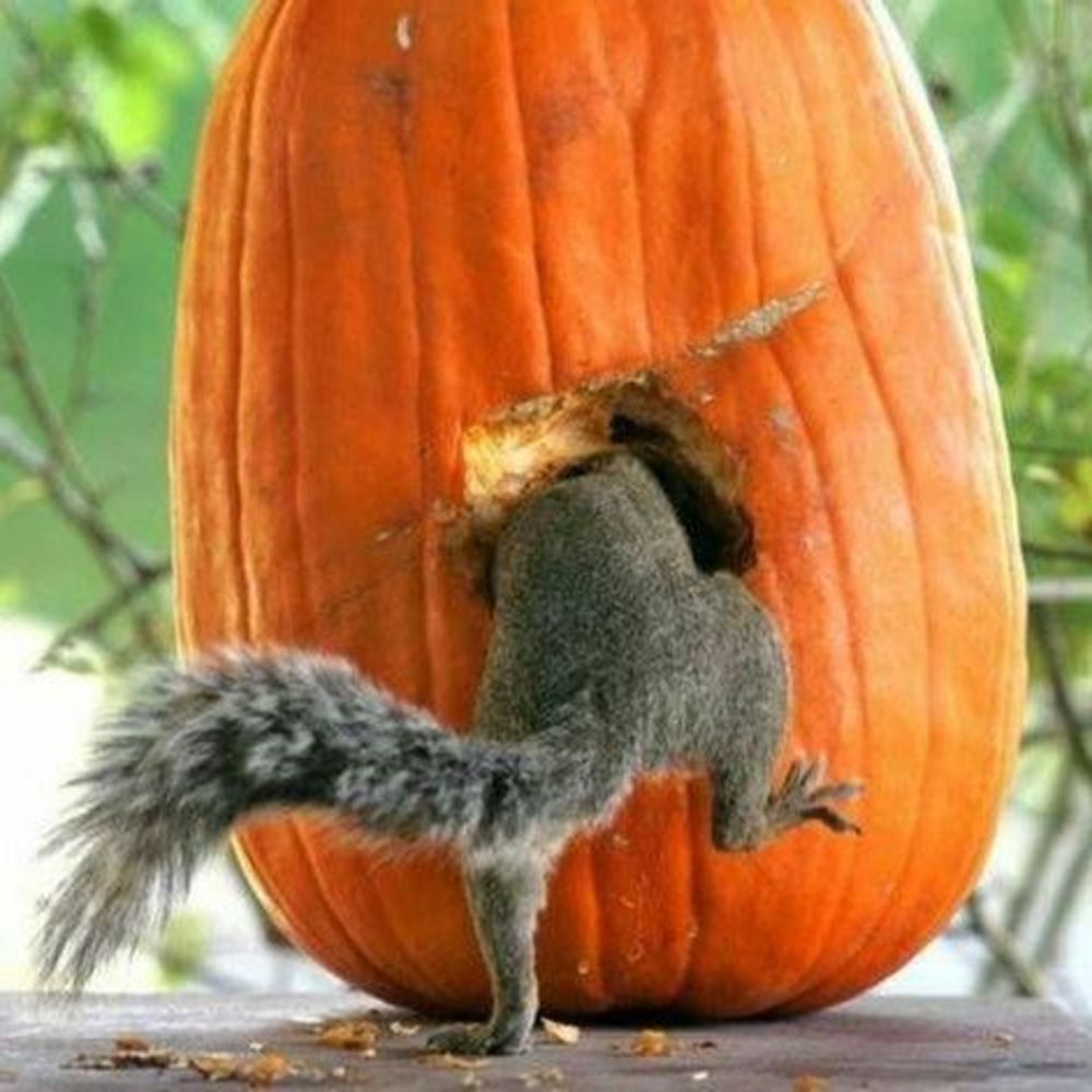 Meet your Posher, Breshnaa