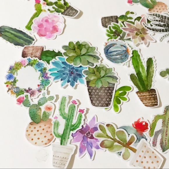 🌵 28 PIECES CACTUS SUCCULENT STICKERS🌵 - Picture 4 of 4