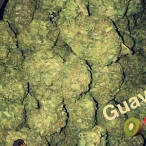 Meet your Posher, Esco