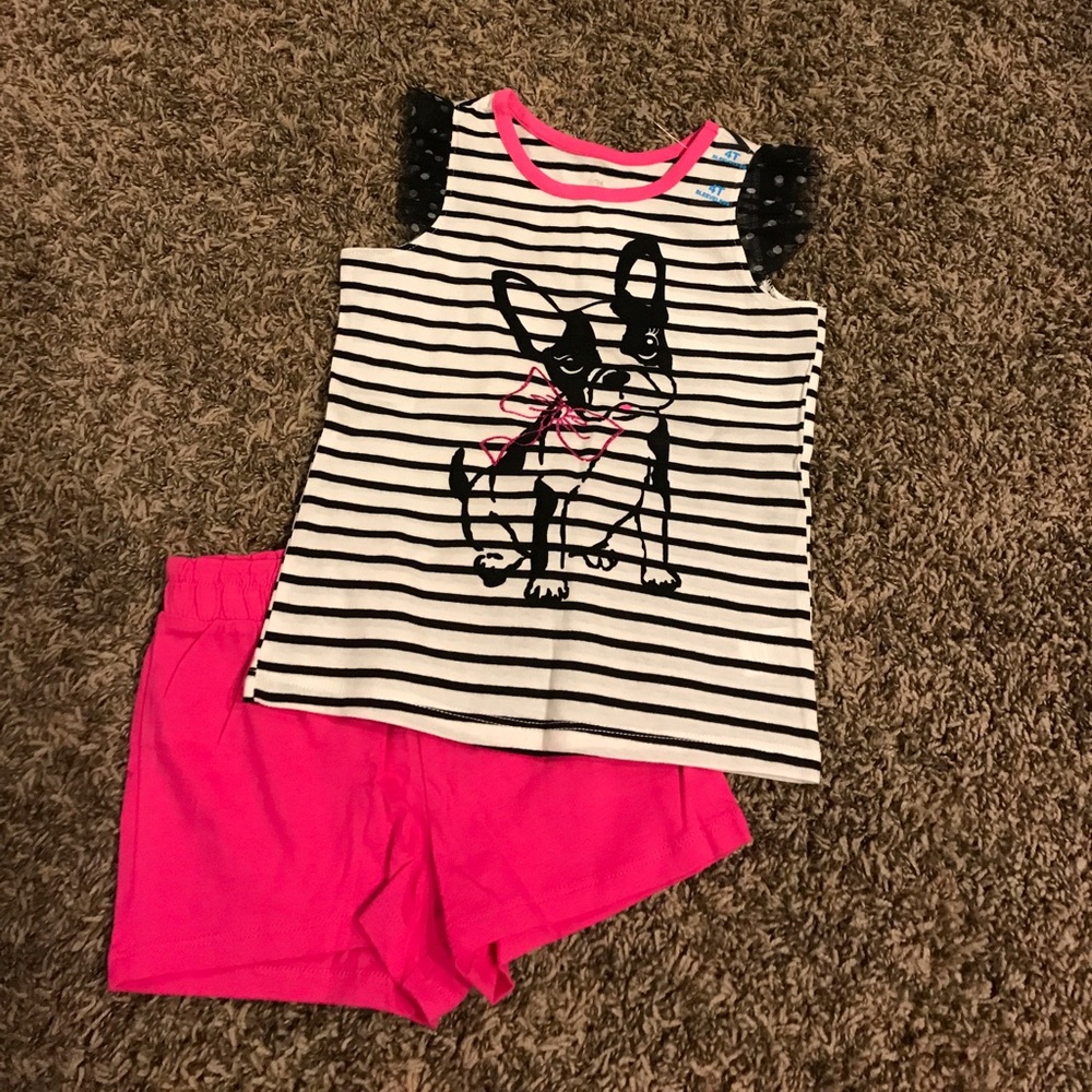 BNWT’s! Sz 4T Toddler Girl’s Shorts & Shirt Set!!