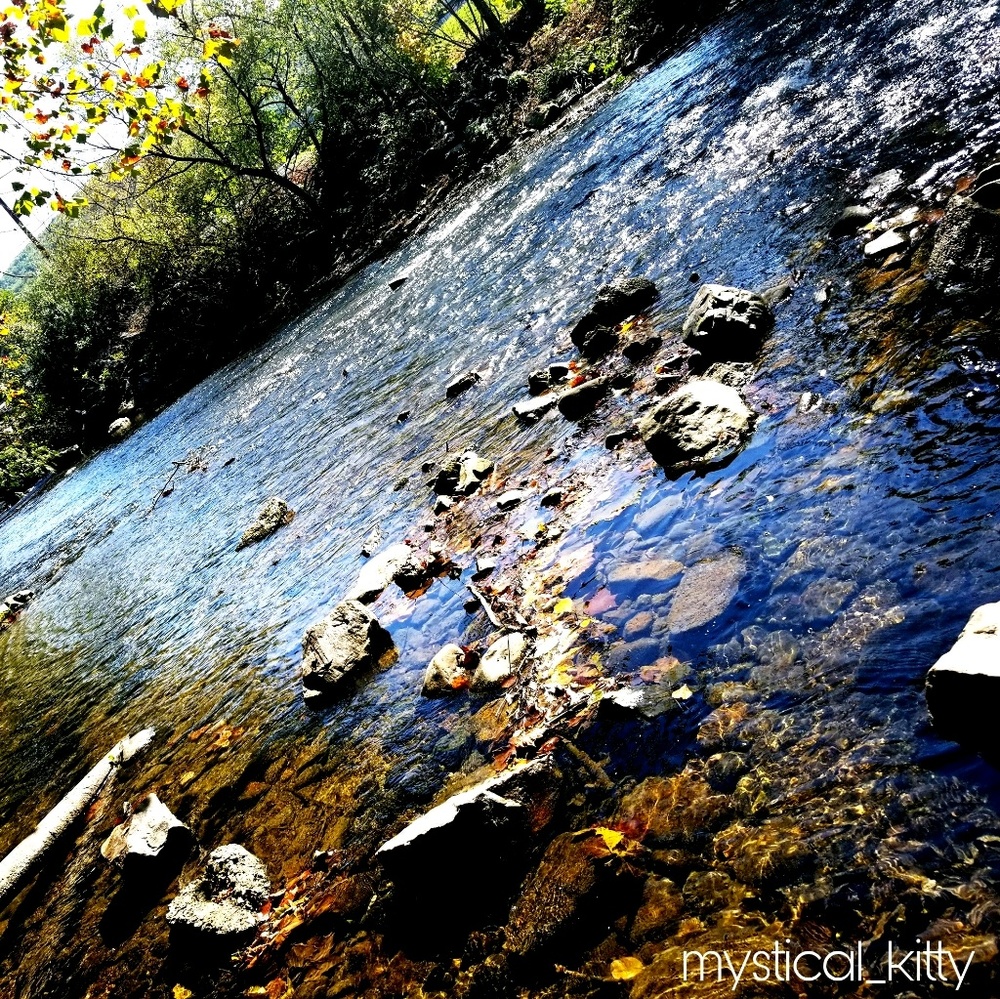 Meet your Posher, Stormi