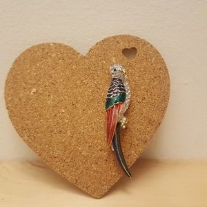 Beautiful parrot brooch
