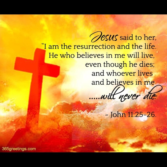 Meet your Posher, Kirsten - Picture 4 of 6