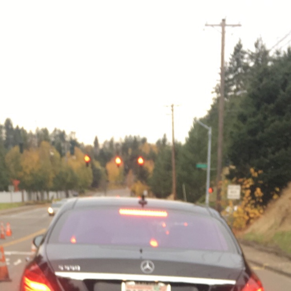 Meet your Posher, Galina