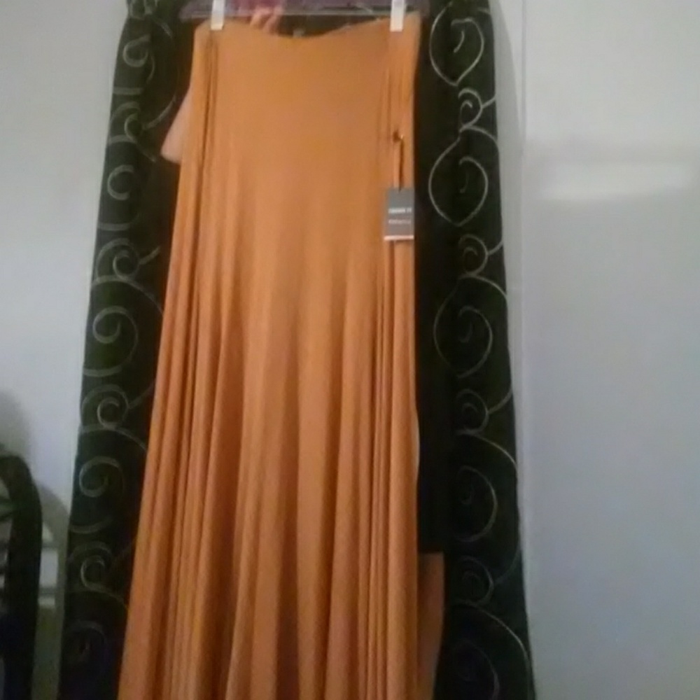 Forever 21 Maxi Skirt