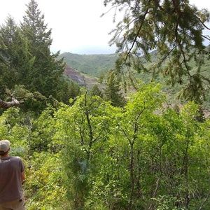 Meet your Posher, Logan