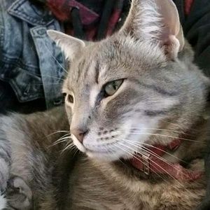 Meet your Posher, Lilly