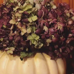 Meet your Posher, Mallory