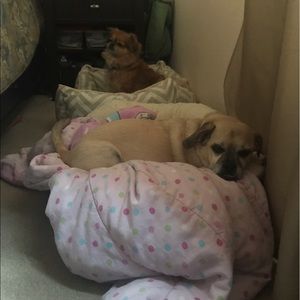 Meet your Posher, Gina