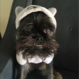 Meet your Posher, Justin