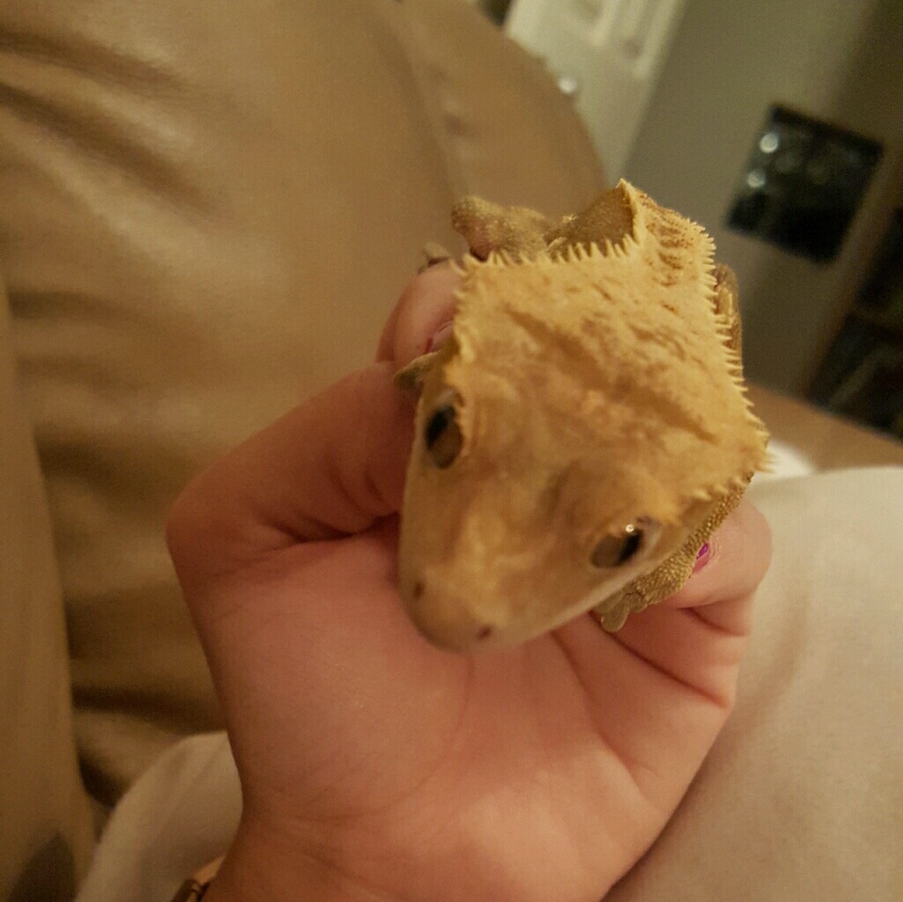 Meet your Posher, Tiffany