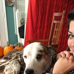 Meet your Posher, Lore