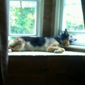 Meet your Posher, Jocelyn