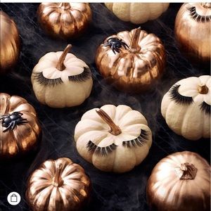 Meet your Posher, Lana