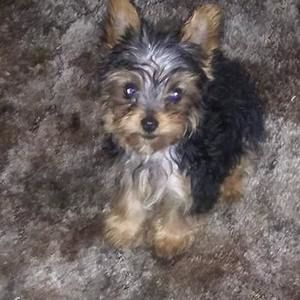 Meet your Posher, Kelli